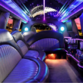 Here Comes The Stylish Ride For The Concert You Attend