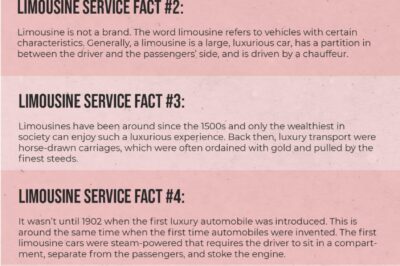3 Fun Facts About Chauffeur