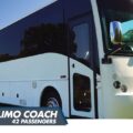 Party For Kids And Teenagers With Limo Style Coach Bus New Jersey