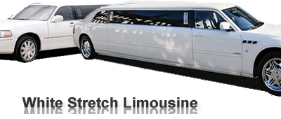 Keep Updated With New Jersey Limo Companies