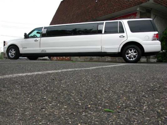 Ford Expedition White1