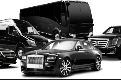 Limousine Charter For Parties And Weddings Ceremony In New Jersey